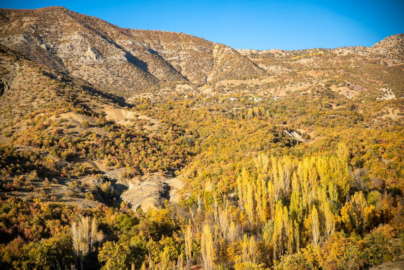 Dersim’de sonbaharın son demleri - Resim: 9